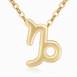Load image into Gallery viewer, Capricorn Zodiac Sign Pendant Necklace on a white background
