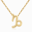 Load image into Gallery viewer, Capricorn Zodiac Sign Pendant gold plated Necklace on a white background
