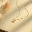 Load image into Gallery viewer, capricorn zodiac sign necklace placed on top of a brown paper

