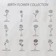 Load image into Gallery viewer, Birth Flower Collection chart
