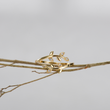 Load image into Gallery viewer, Be-Leaf In Yourself Like I Do Leaf Gold Ring placed on a tiny branch of a tree
